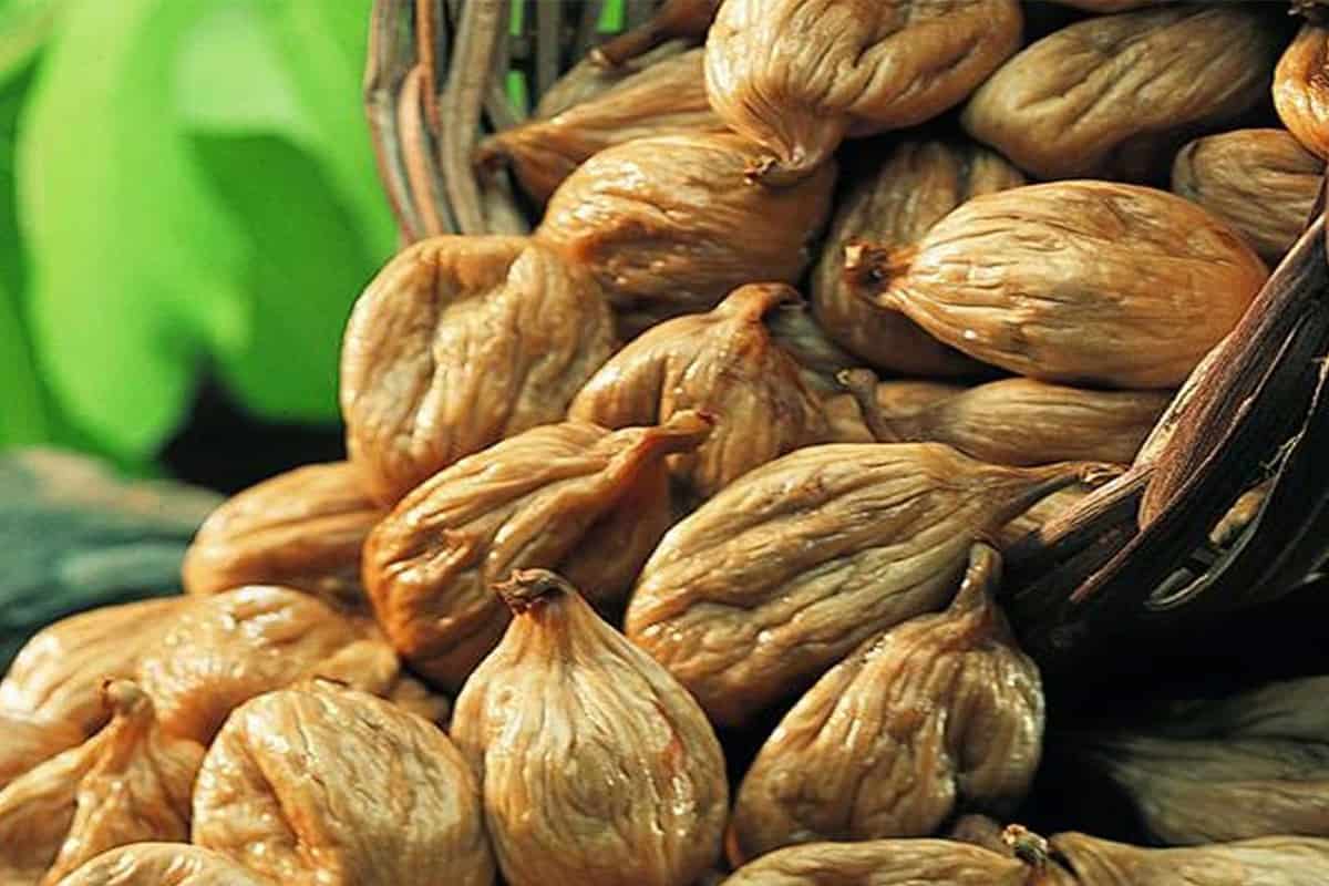  Dried figs world production and distribution 