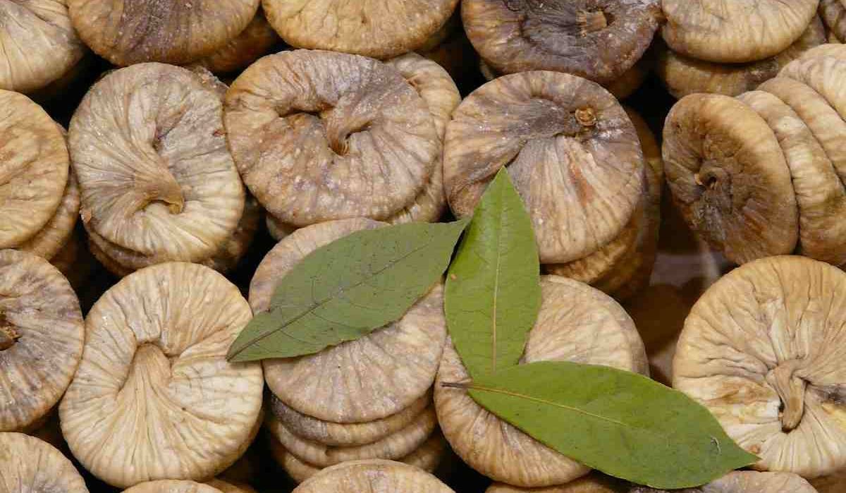  How to avoid pests and store bulk dried figs 