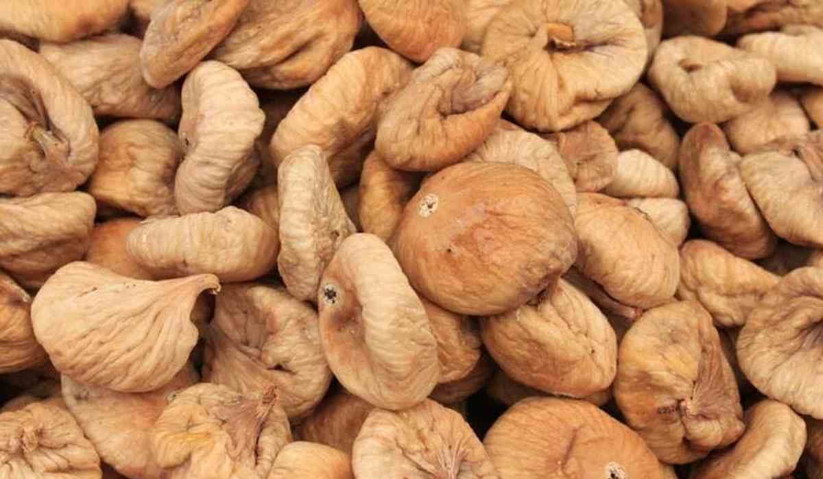 Buying the latest types of wholesale dried figs from the most reliable brands in the world 