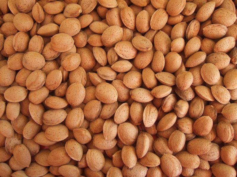 marcona almonds in shell
