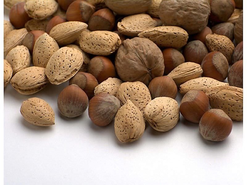 bulk hazelnuts in shell