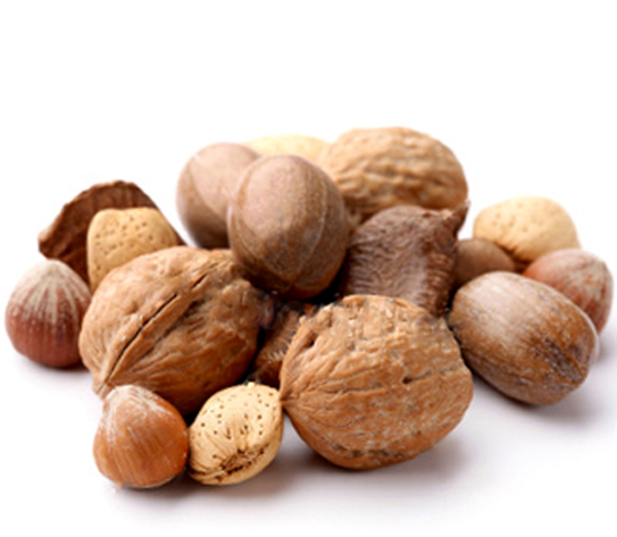 bulk buy walnuts uk