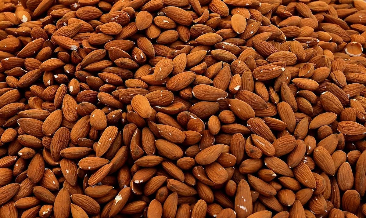 dry almond 