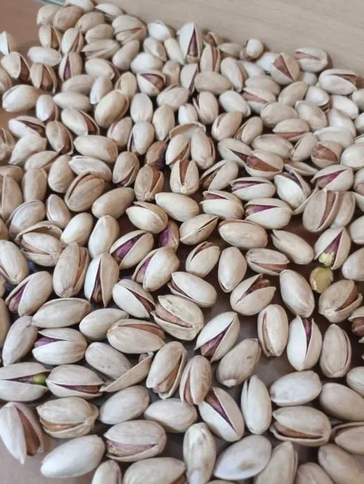 iranian pistachios red