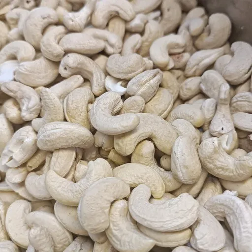 cashew nut industry in gujarat
