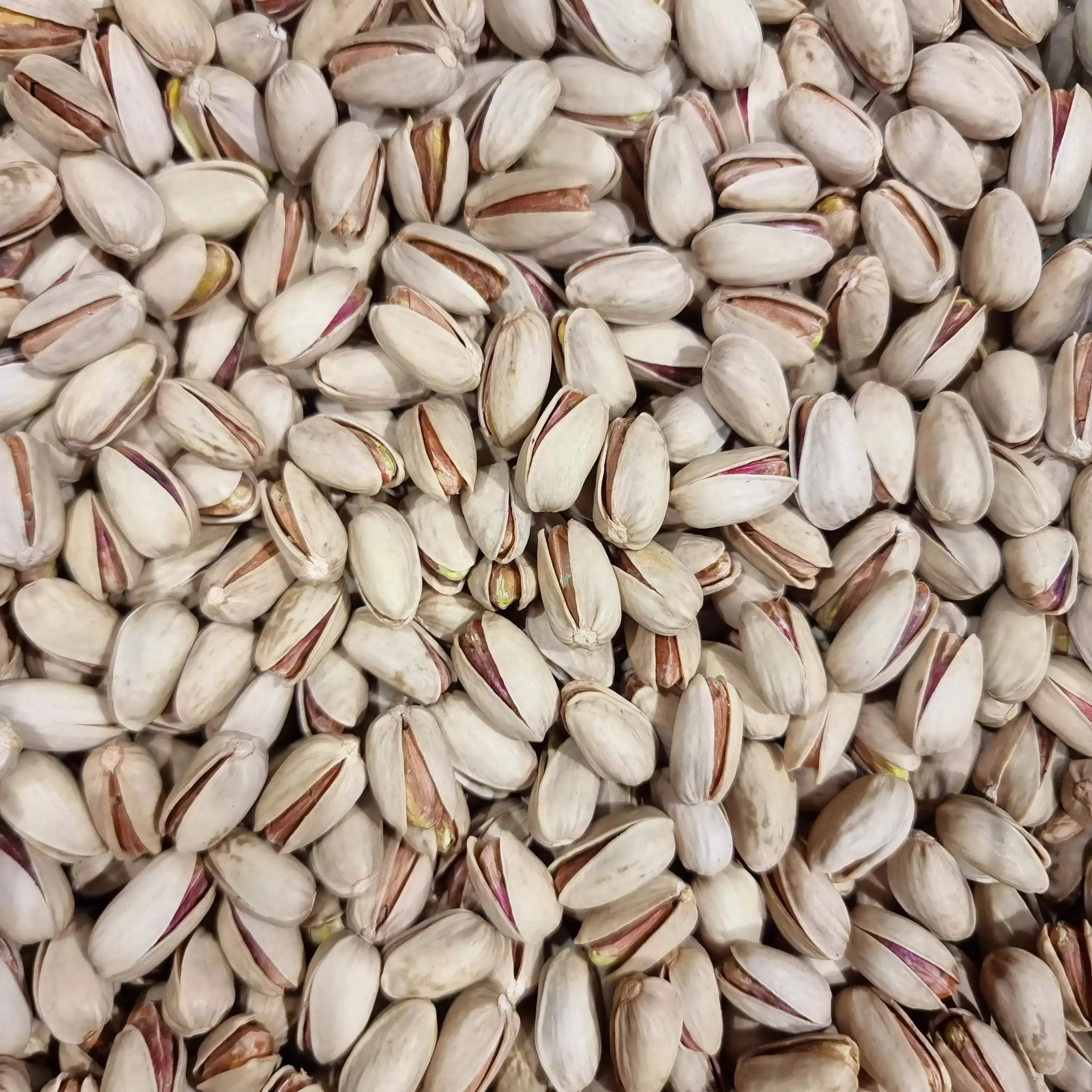 Organic raw shelled pistachios 2023 price list