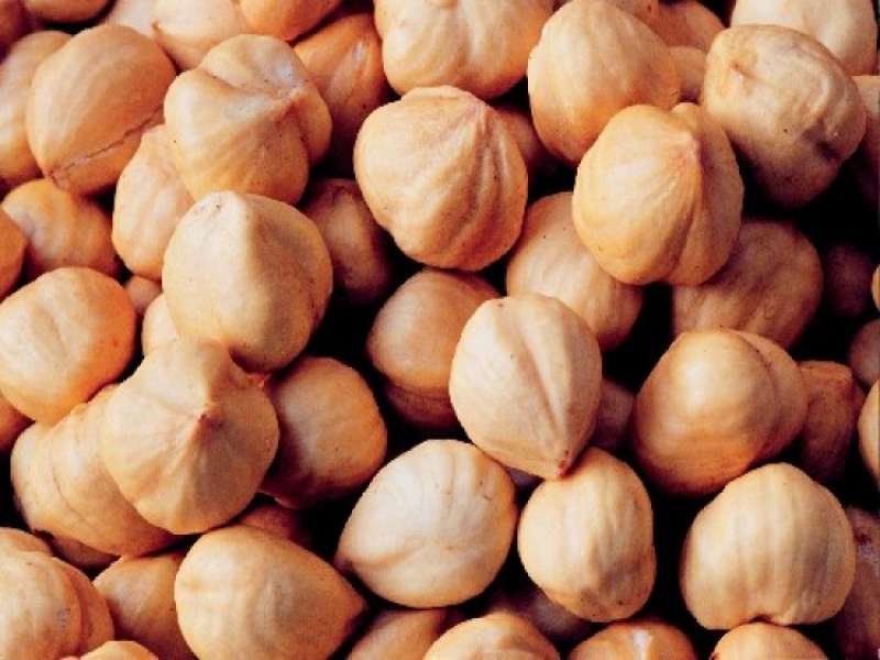 Specifications raw hazelnut kernels + purchase price