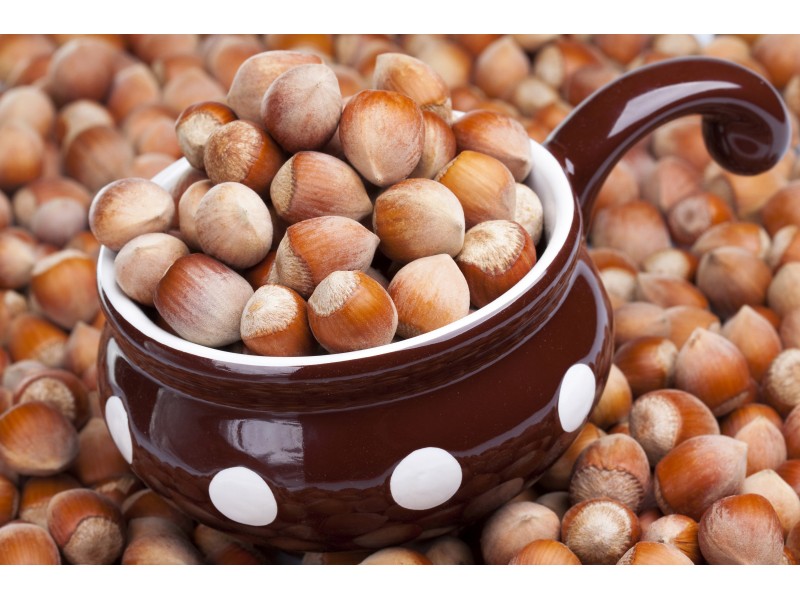 Introducing raw hazelnuts in shell + the best purchase price