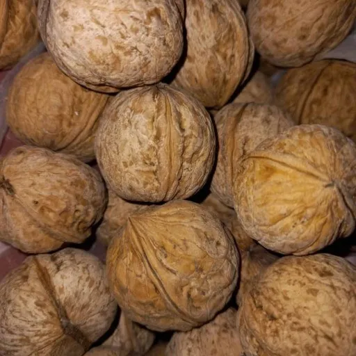 The most appropriate price for raw walnuts in shell in September 2023