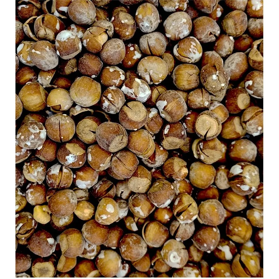 The price of fresh hazelnuts in shell from production to consumption