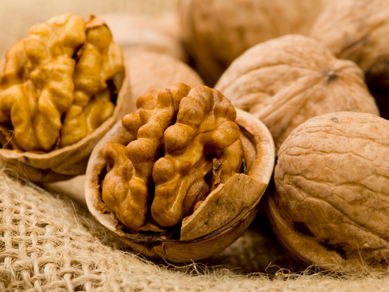 Raw organic walnuts in shell purchase price + specifications, cheap wholesale