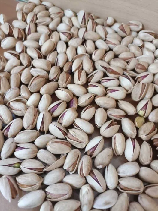 The price of unsalted pistachio nuts + wholesale production distribution of the factory