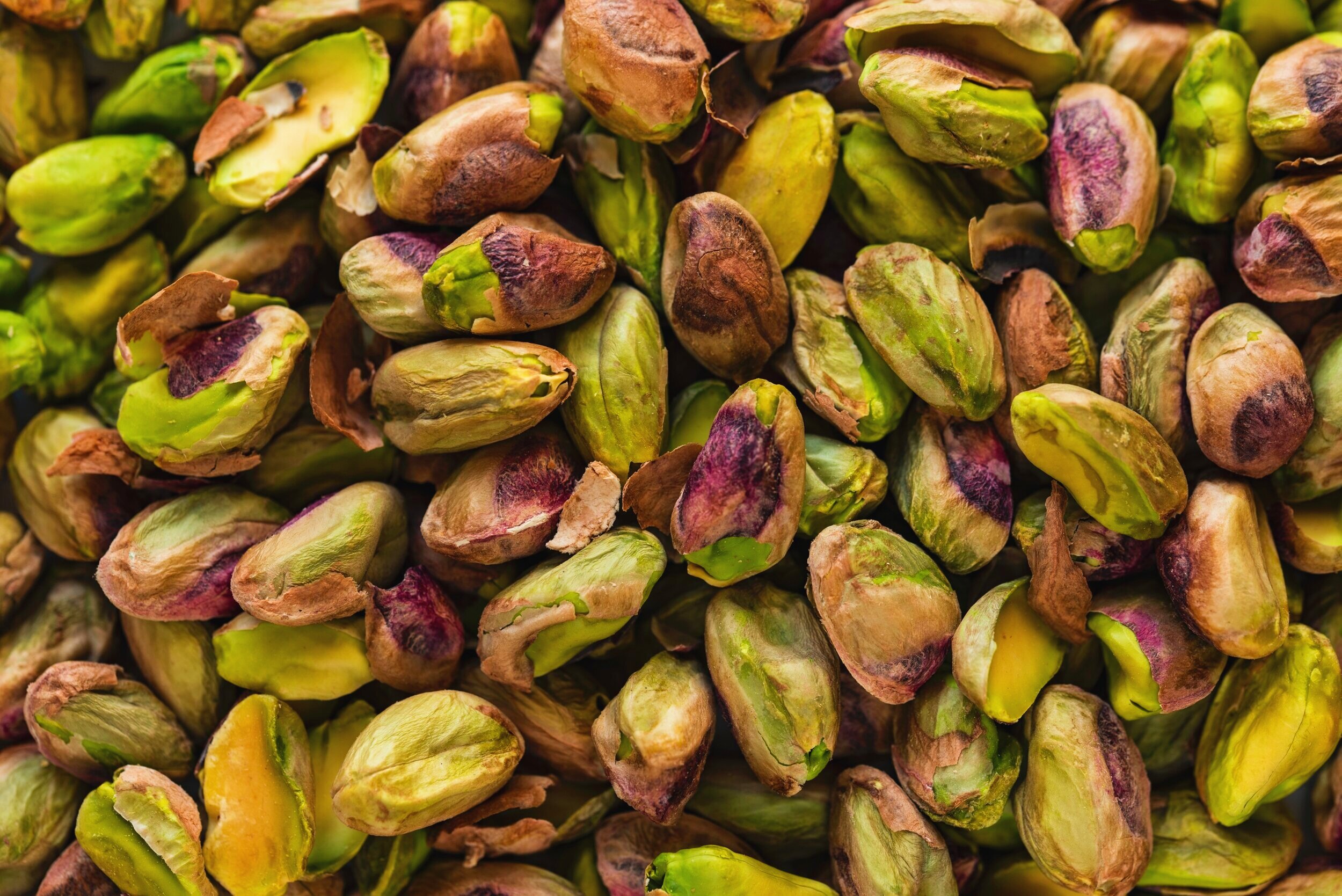 Unsalted pistachios no shell price + wholesale and cheap packing specifications
