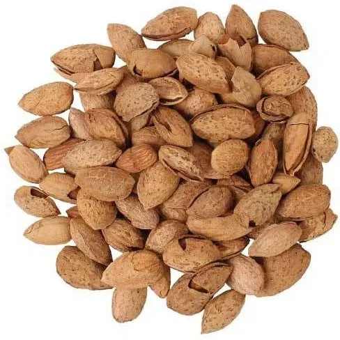 Price and buy raw bitter almonds nuts + cheap sale