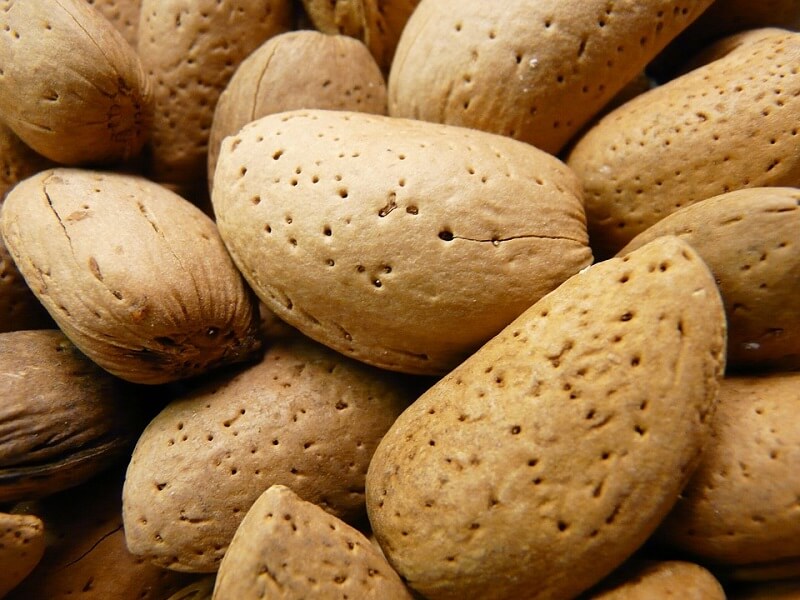 marcona almonds in shell