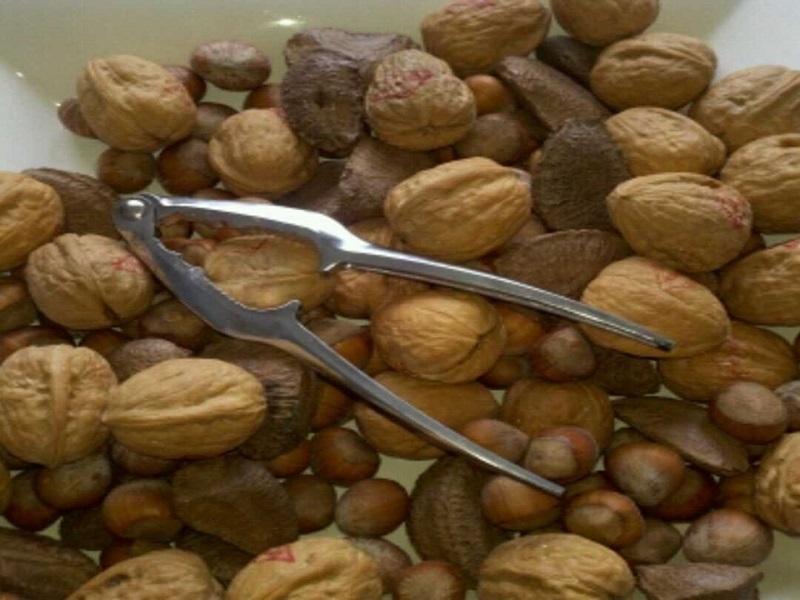 nuts in shell bulk