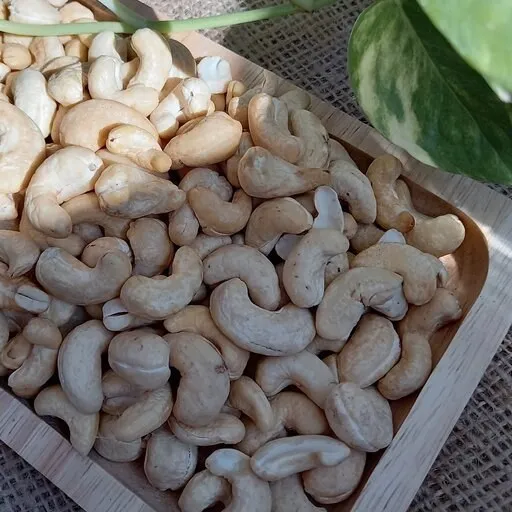 bulk raw cashew nuts