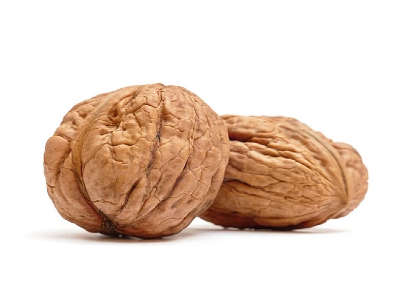 nuts in shell bulk
