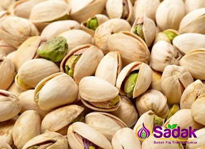 Purchase and price of the latest types of pistachio