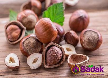 Buy organic roasted hazelnuts types + price