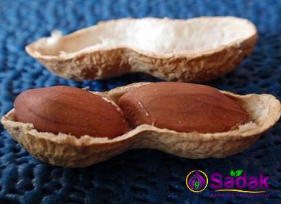 raw peanut in english purchase price + quality test
