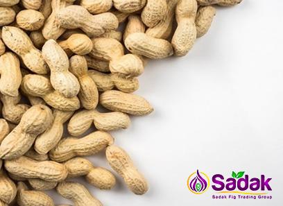 Buy the latest types of raw peanut edible