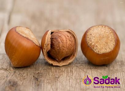 Purchase and today price of hazelnuts roasted or raw
