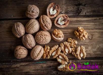 Purchase and today price of fresh walnuts in shell
