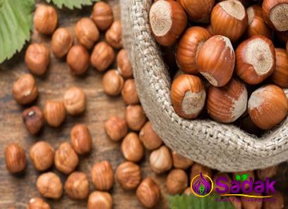 Buy organic farm hazelnuts types + price