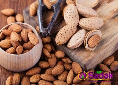 Buy roasted almonds with sea salt + best price