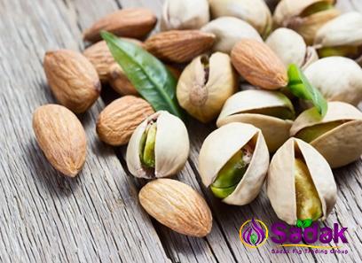 raw unsalted shelled pistachios in Mumbai + best buy price