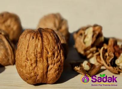 Price and buy fresh green walnut dla dzieci + cheap sale