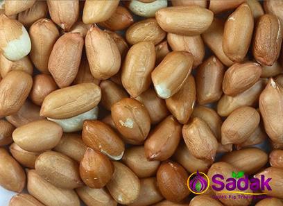 early spanish peanut purchase price + quality test