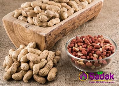 Buy the best types of valencia peanut at a cheap price