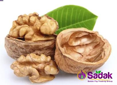 Buy the best types of english walnut at a cheap price