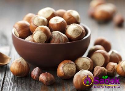 Buy fresh hazelnuts in shell types + price