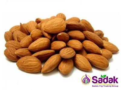 Buy all kinds of bitter almond at the best price