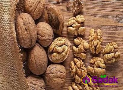 Purchase and price of fresh english walnuts types
