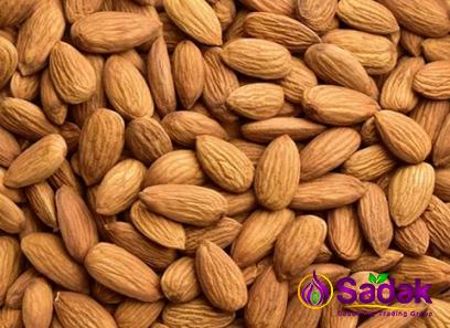 Buy raw bitter almonds types + price
