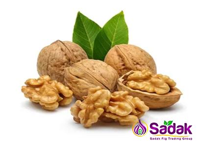 Buy the best types of fresh walnut at a cheap price