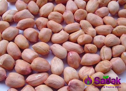 yellow peanut purchase price + sales in trade and export