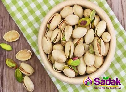 Buy all kinds of dog pistachio at the best price
