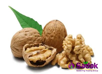 Buy eastern black walnut types + price