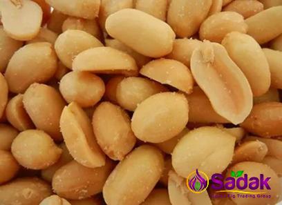Buy australia big peanut types + price