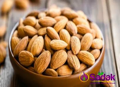 Buy the latest types of fresh almond at a reasonable price