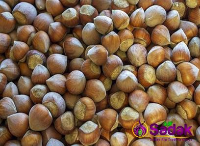 Buy all kinds of hazelnut in spanish at the best price
