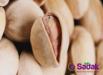 Buy all kinds of pistachio in fresh at the best price