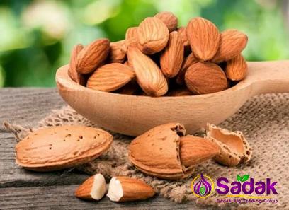 Buy Unsalted almond calories types + price