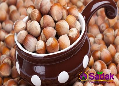 Buy all kinds of beaked hazelnut at the best price