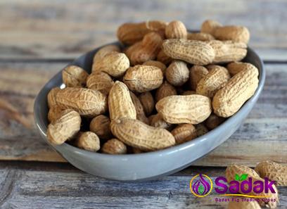Buy bailey virginia peanut types + price